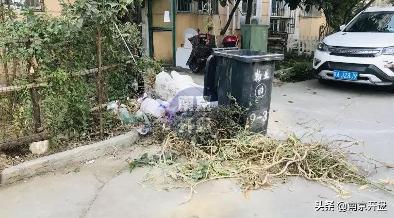 假山里住人！物业不作为，南京超级大盘终于要换物业了