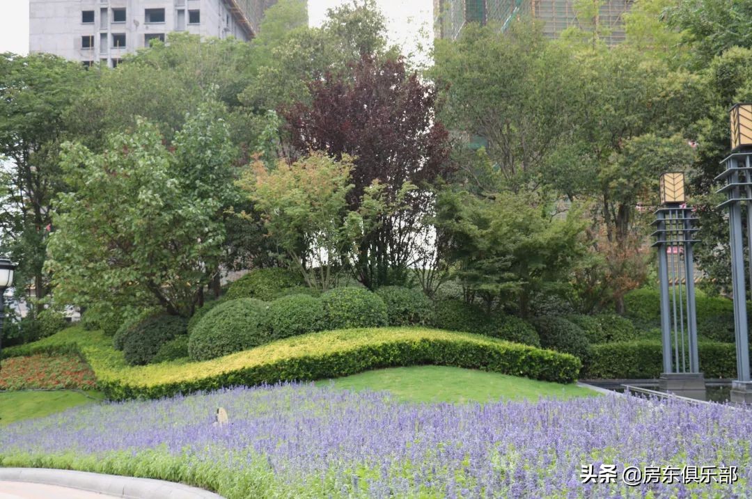 盘活收回低效闲置土地,盘活区域资源