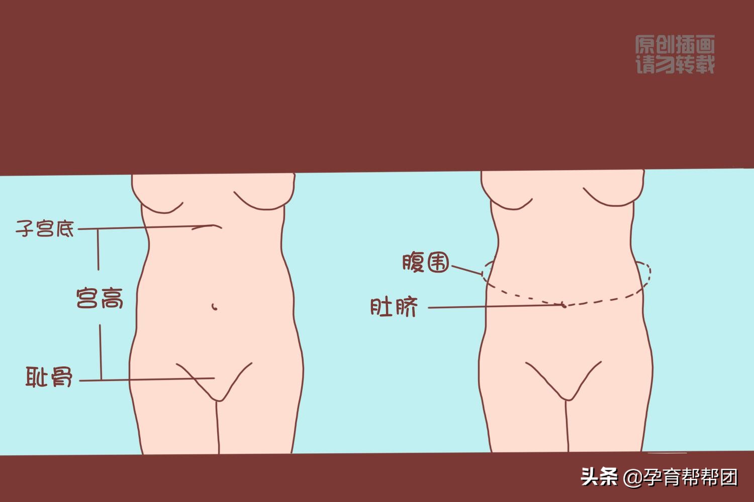 孕期如何自测宫高,尺子量宫高腹围算胎儿体重准不准