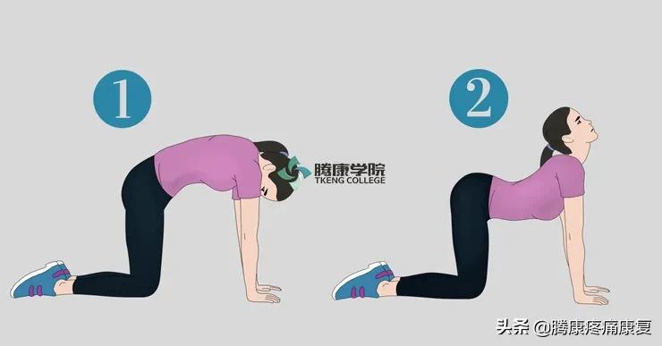 腰椎间盘突出的12组锻炼动作,腰椎间盘4-5节突出压迫神经怎么办