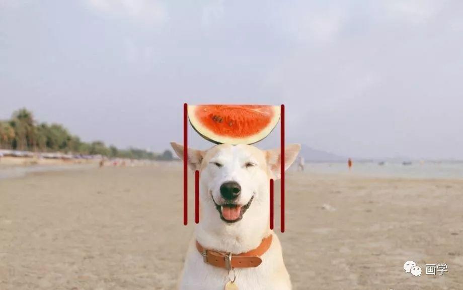 学会画画就要会正确的观察方法，让你事半功倍！