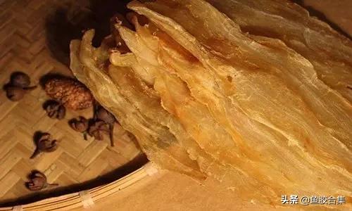 花胶的种类和区别,花胶一共有几种类型的品种