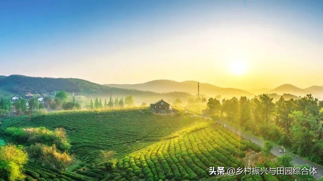 第四批全国一村一品示范村名单,农业农村部第九批一村一品示范镇