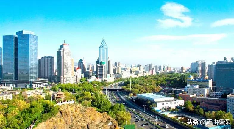 上榜啦！*疆新**鸟市和石市即将被国家命名！未来发展不可估量