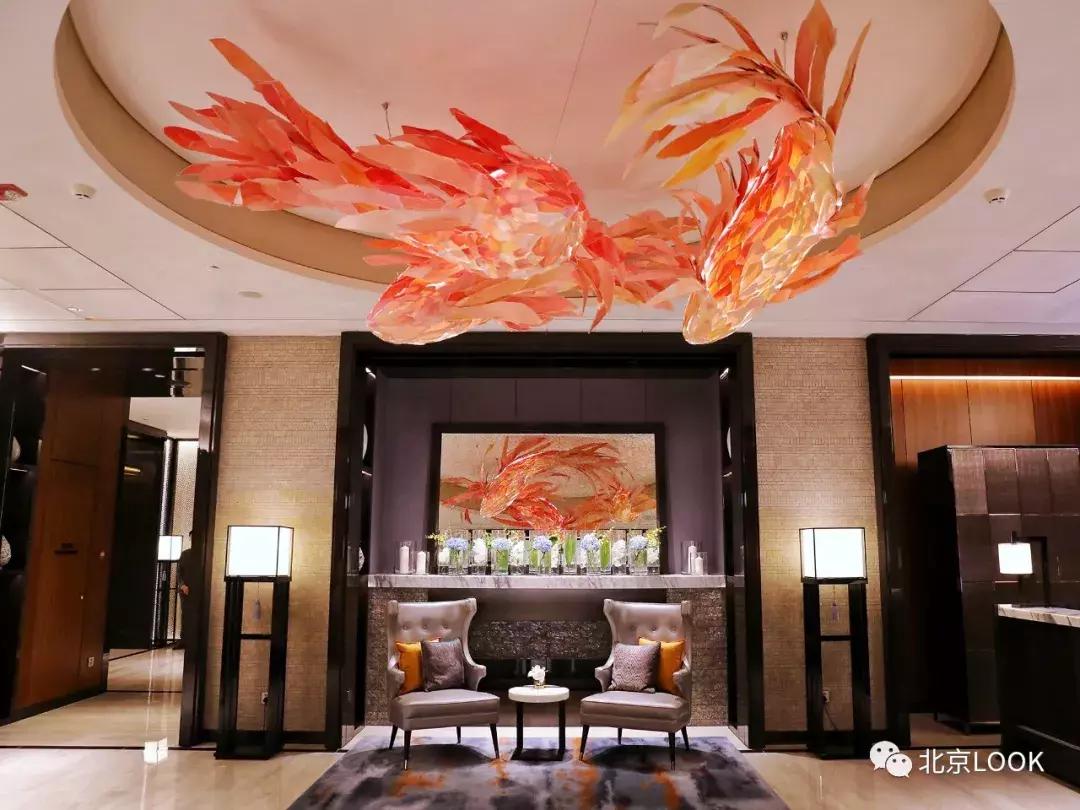 俯瞰故宫北京奢华五星酒店,看故宫全景的酒店