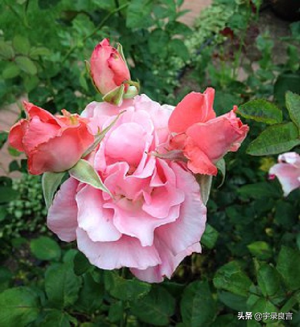 句句入骨的人生感悟个性签名,简短经典精辟走心的个性签名