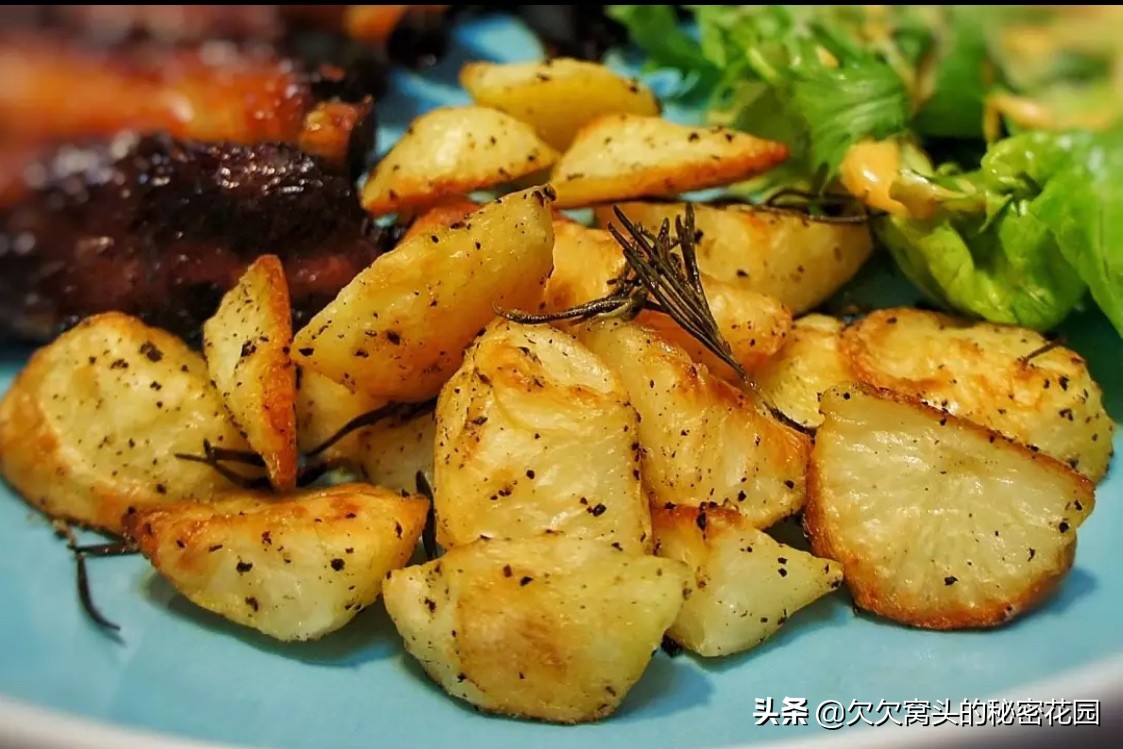 一座可以吃的花园--香草花园2迷迭香