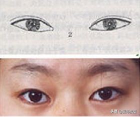 最美的眼睛形状,眼睛是什么样的形状才好看