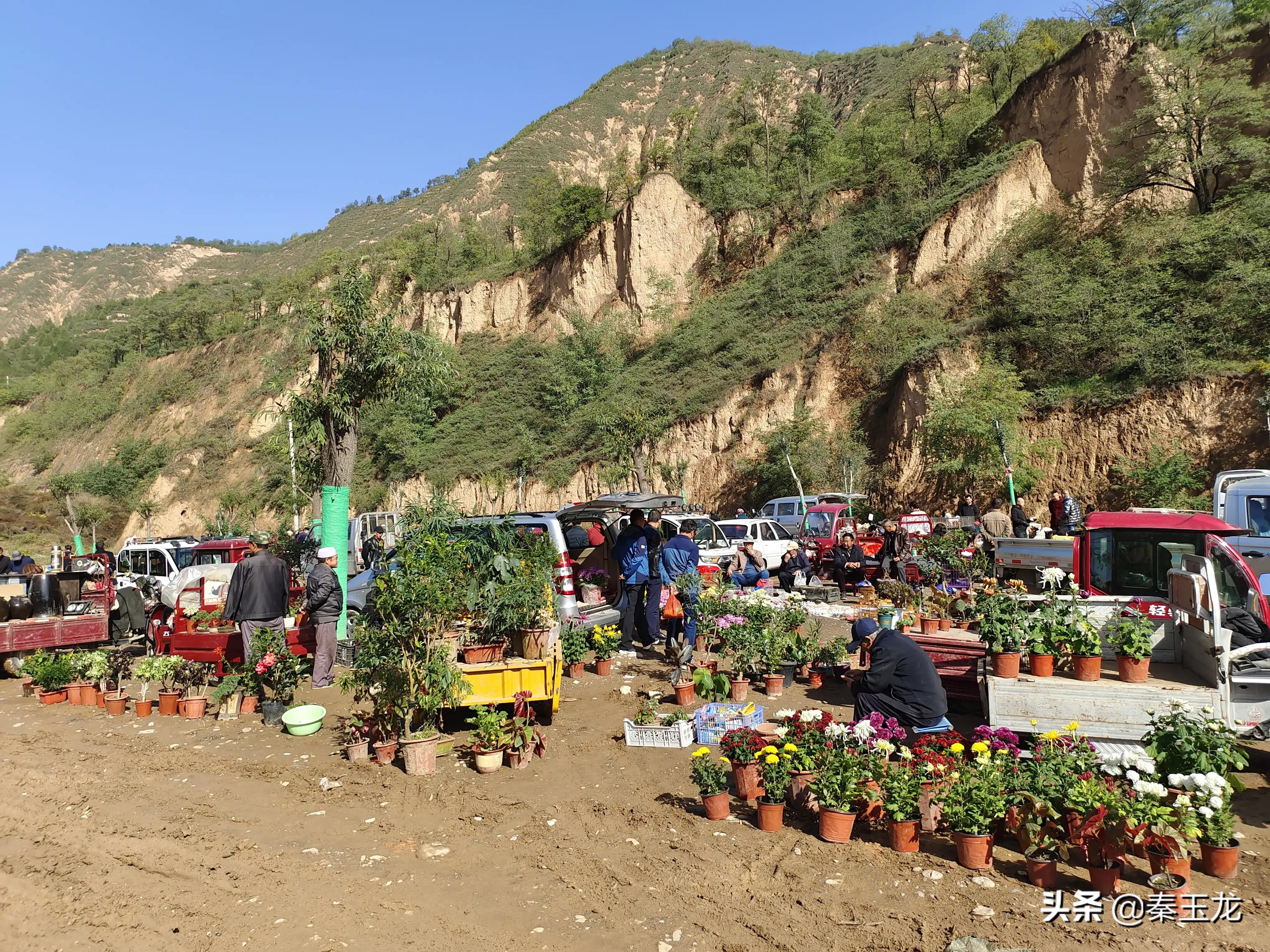 狗市，市井文化的洼地