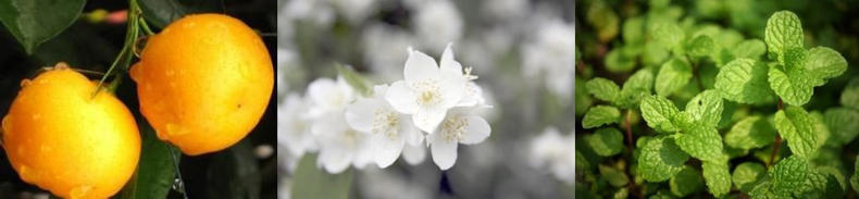 5款好闻到炸裂的香水,六款一定要买的香水香水控必入