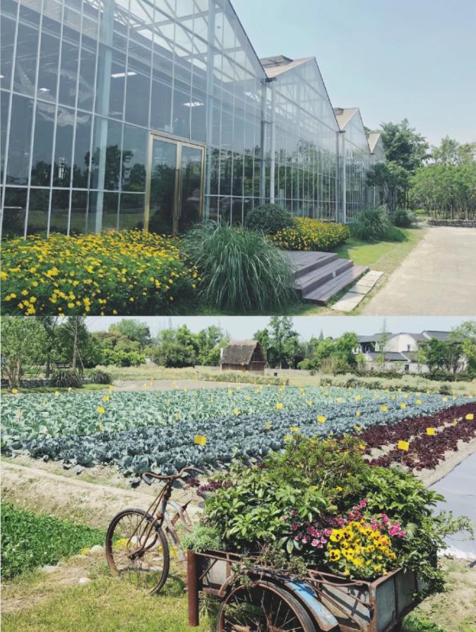 五一小众宝藏旅行地成都周边,成都旅行打卡地