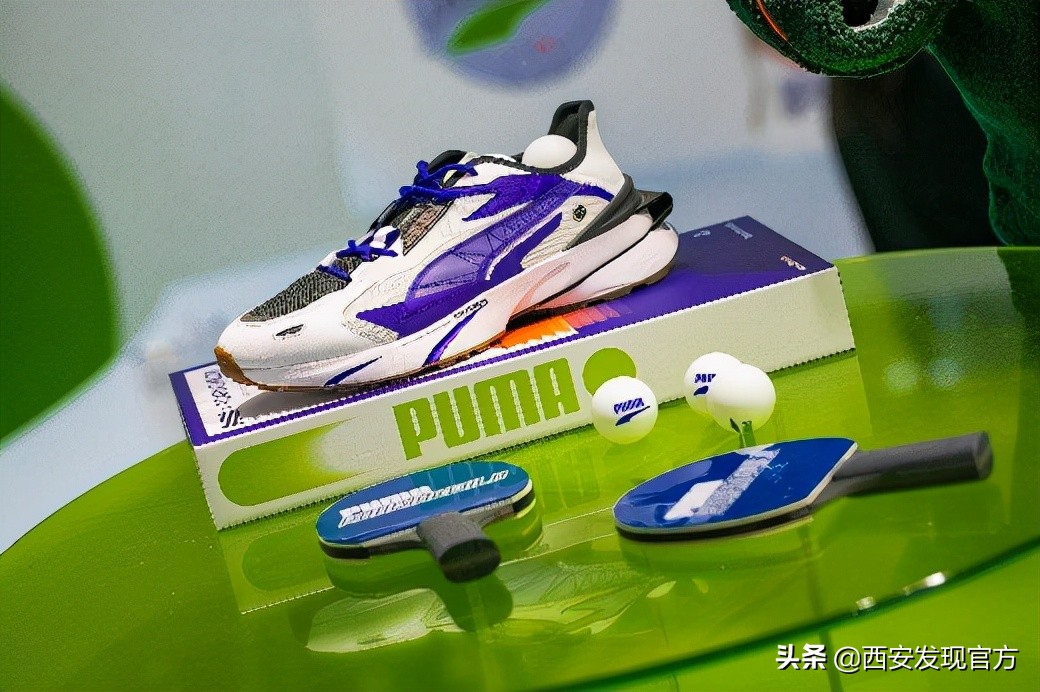 pumaroaringwild绯诲垪,pumaxroaringwild鑱斿悕