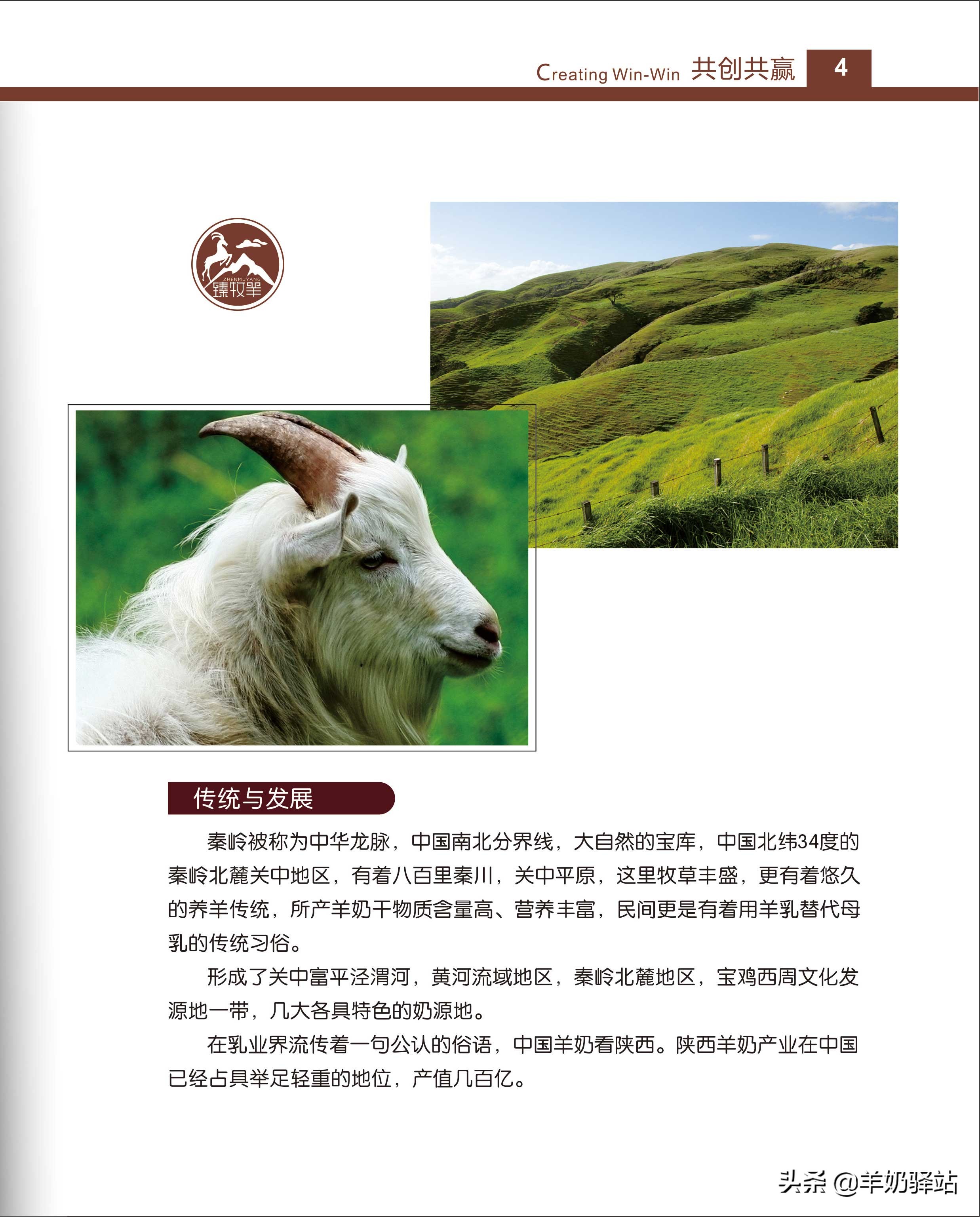 臻牧羊羊奶驿站运营模式,羊奶加盟连锁扶持排行榜