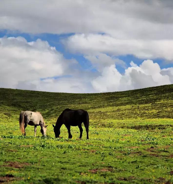甘南被誉为,甘南世界十大美景