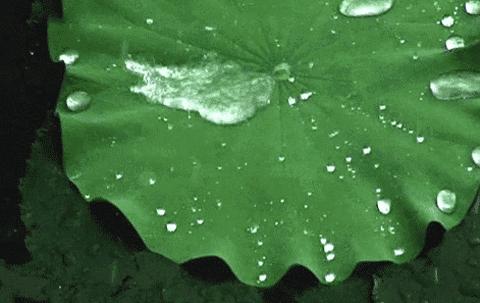 新买的aj穿不进,刚买的aj穿着磨脚