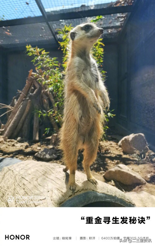 晒照赢大奖,晒靓照赢大奖获奖图片
