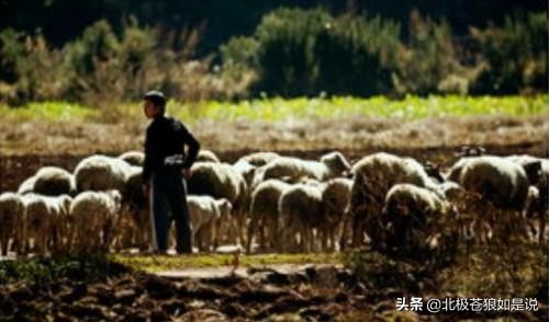 长篇军事题材小说兵家第二章,长篇军事题材小说兵家第五章