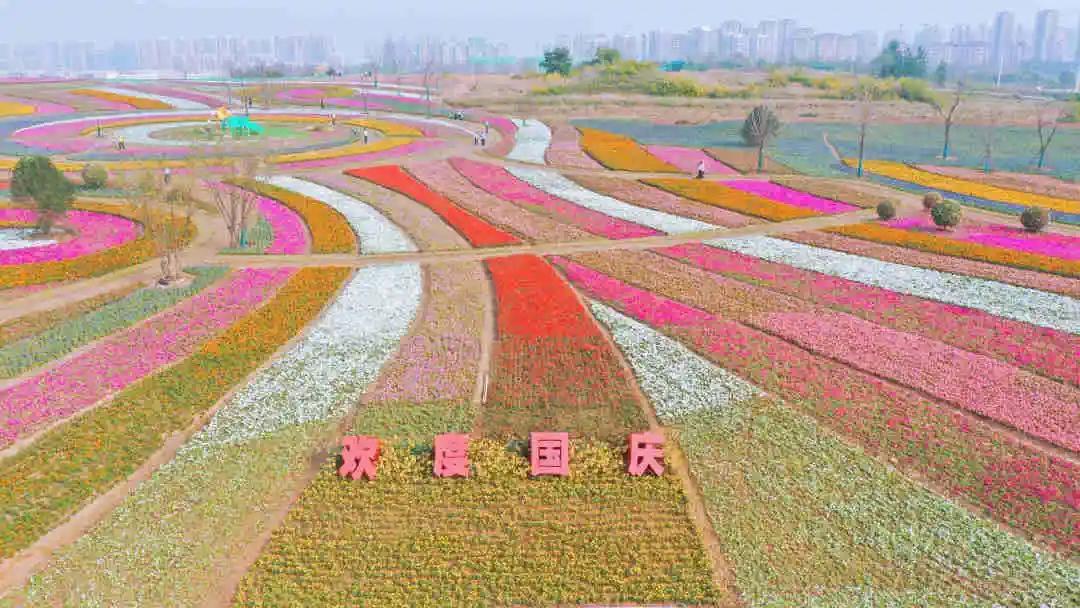 烟台开发区发展简介,烟台开发区发展目标