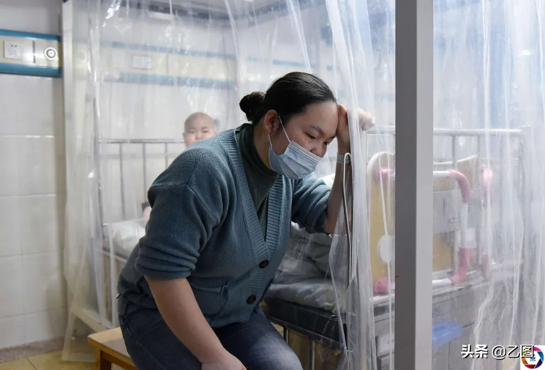 小孩被器官移植,5岁女孩移植