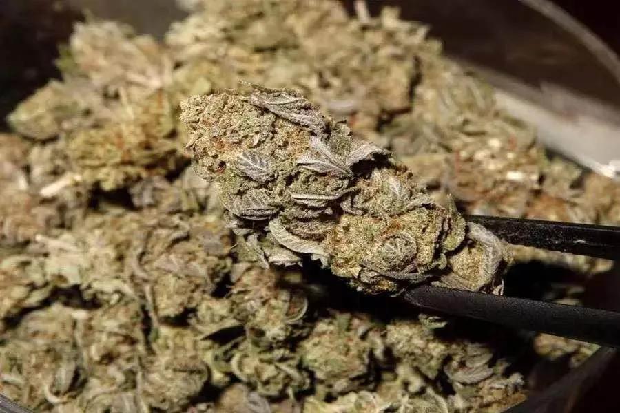 糊涂!为缓解焦虑抑郁,揭西一少年竟敢网购此物……