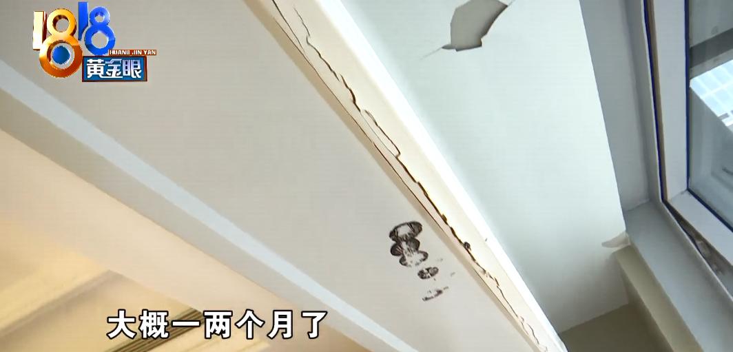 千万豪宅突然长出蘑菇,千万豪宅被收