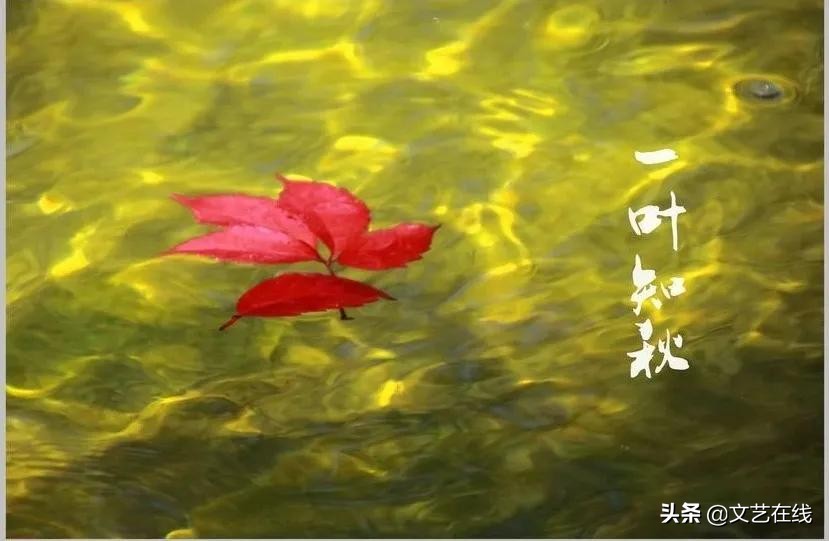 中国诗词大会描写秋天的诗句,诗词秋天朗诵大气