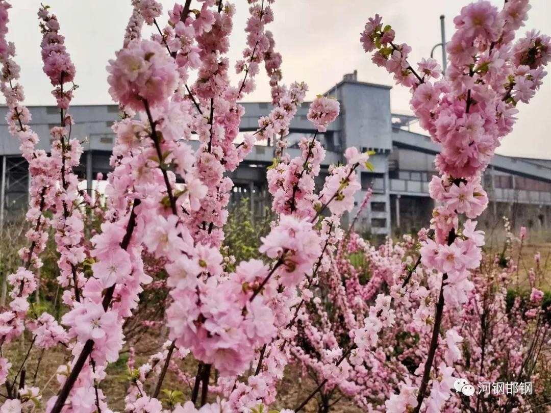 娌抽挗閭挗閾佽矾,娌抽挗閭挗楂樼倝