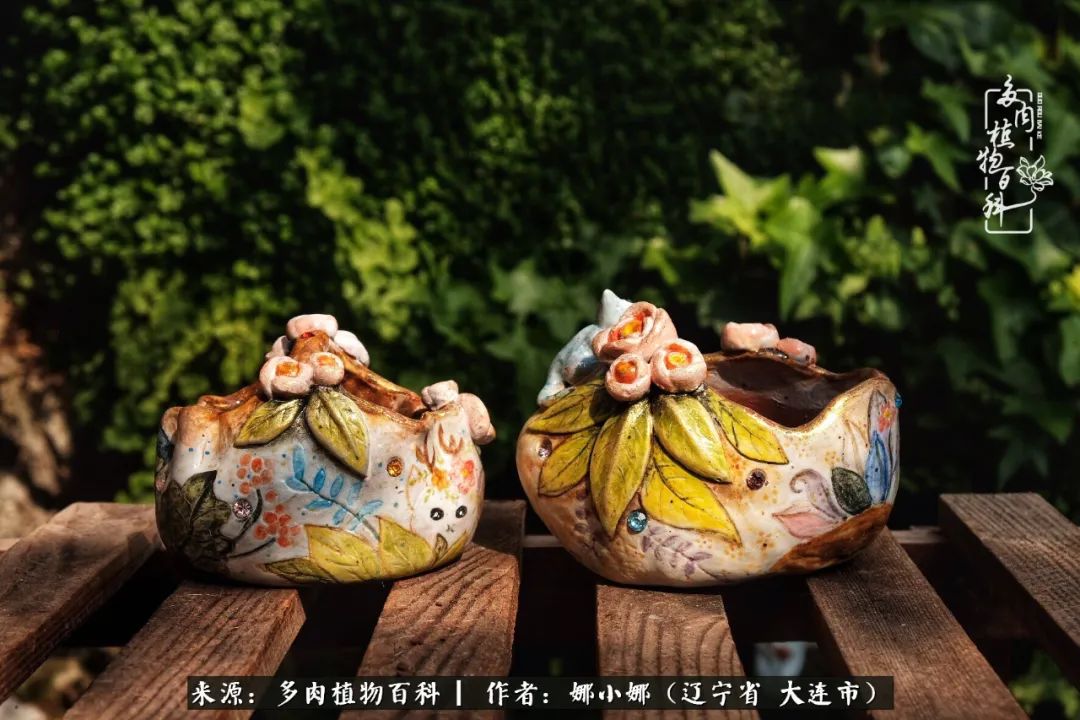 你是盆我是花，你护我周全，我为你绽放