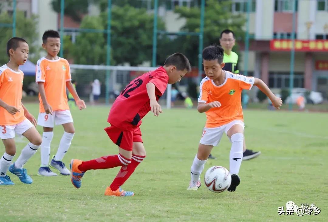 区中小学足球联赛,体教融合杯中学篮球赛