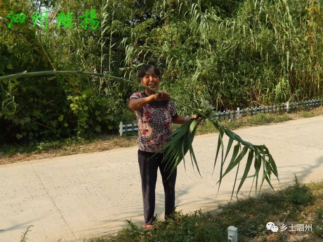 被淡忘的城市,被淡忘的景点有哪些