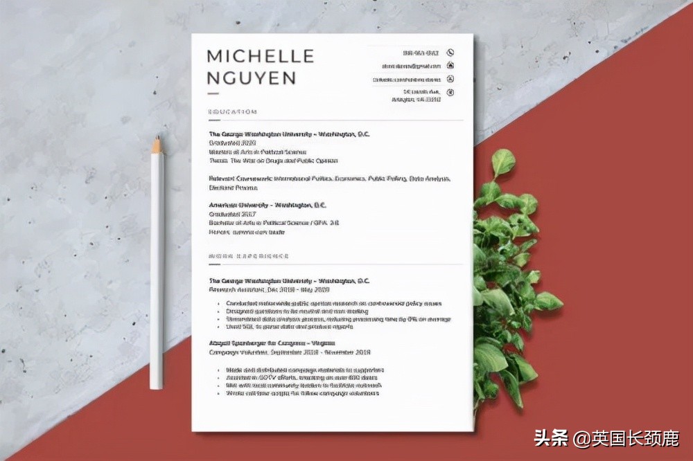 coverletter求职信,coverletter求职信范文2篇