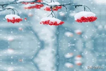 关于胸有成竹的成语有哪些,对中国胸有成竹成语