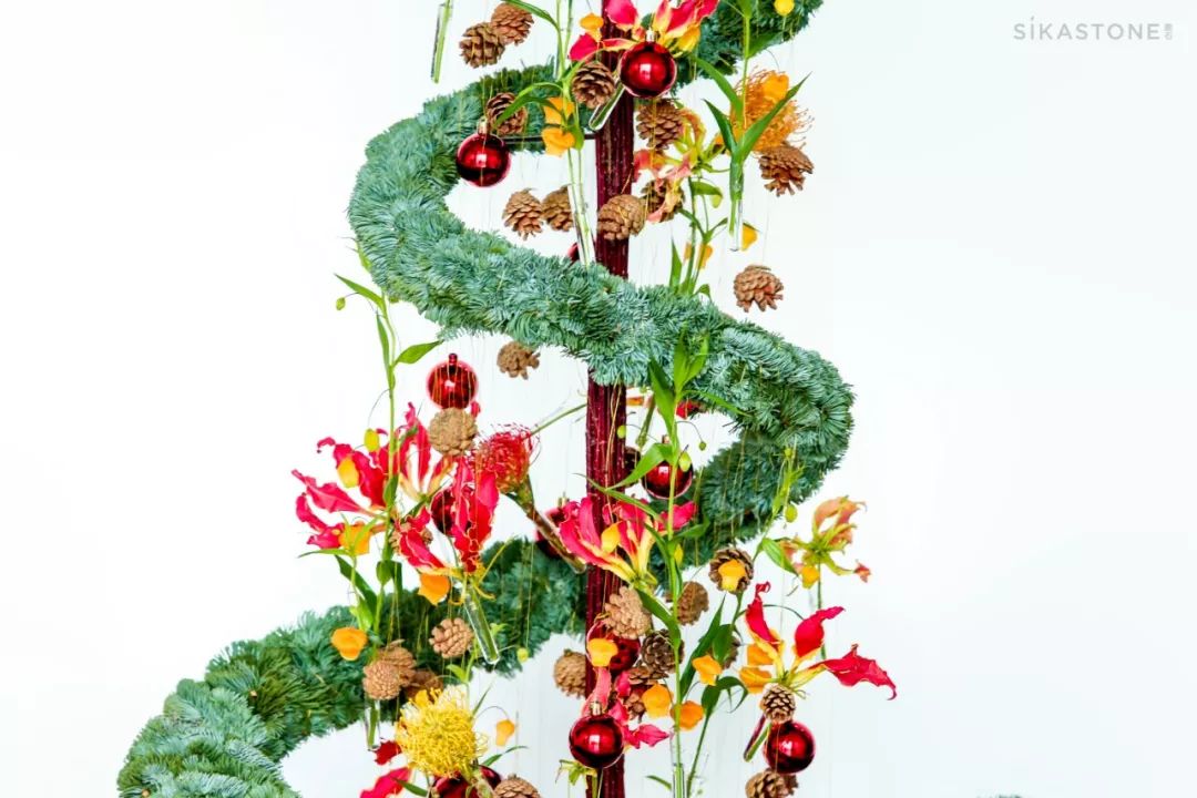 2018春夏系列灵感来源,2017圣诞橱窗设计