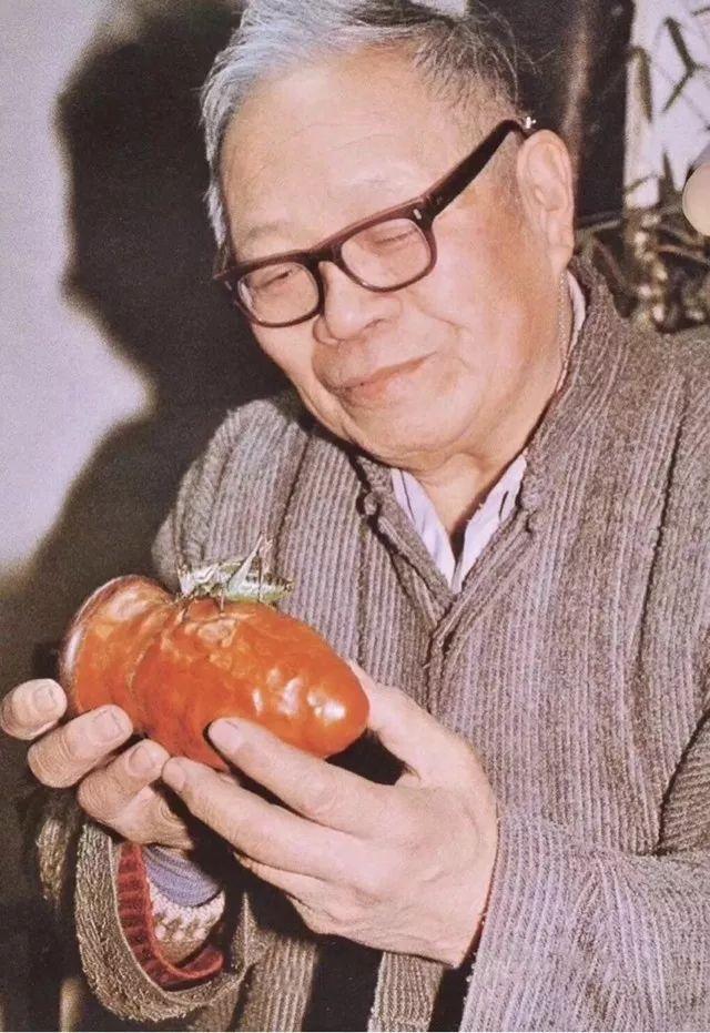 玩虫讲究,玩虫子的人