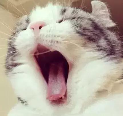 乐高7-15岁儿童益智大汽车,乐高7-15岁儿童汽车可开动