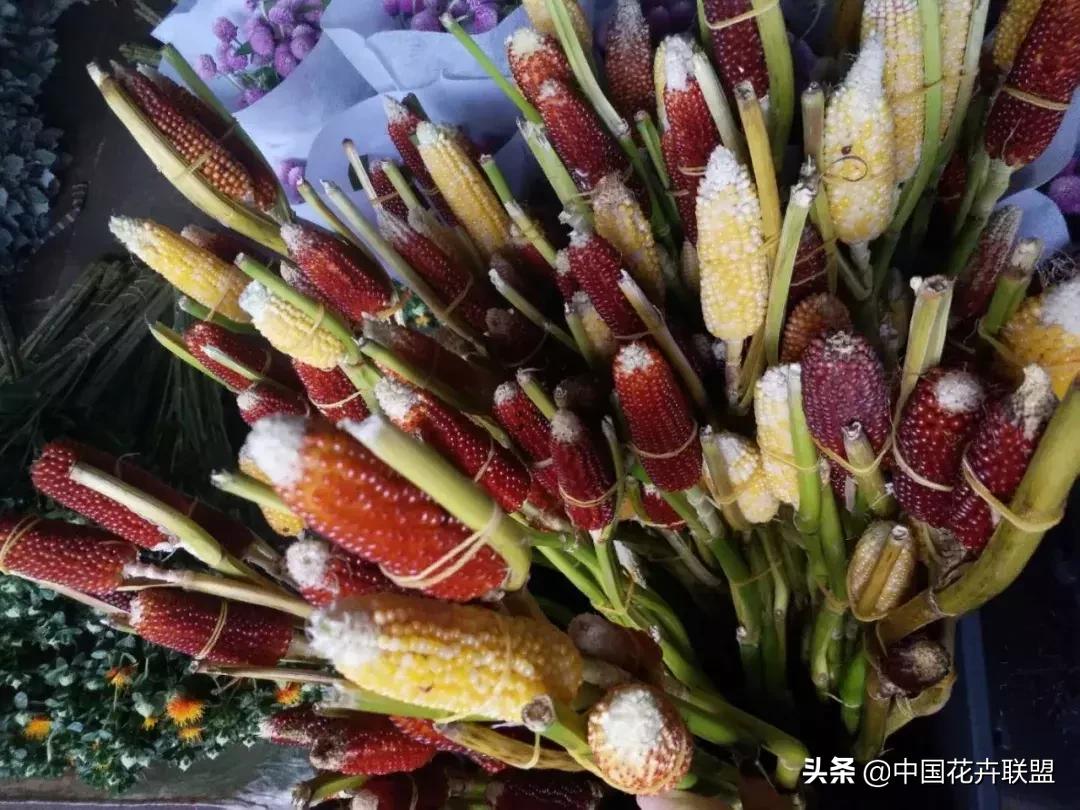 春天花市有哪些花材,便宜又大把的花材有哪些