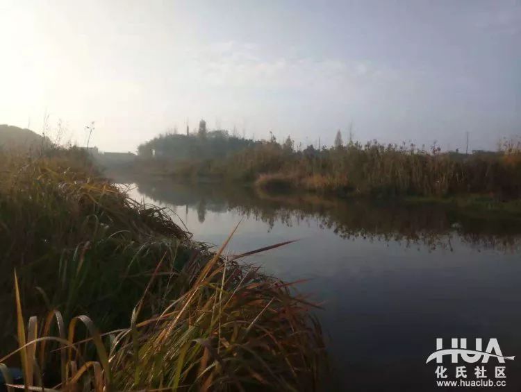 化氏不空军糊味,化氏不空军谁代工的