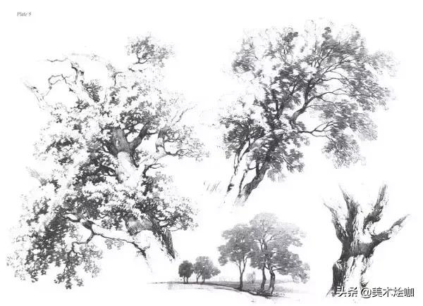 静物素描风景图临摹,简单又好画的彩铅素描风景图