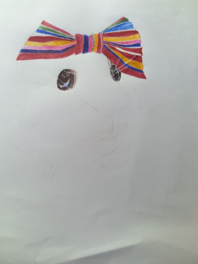 仓鼠食盆简笔画,仓鼠简笔画团子