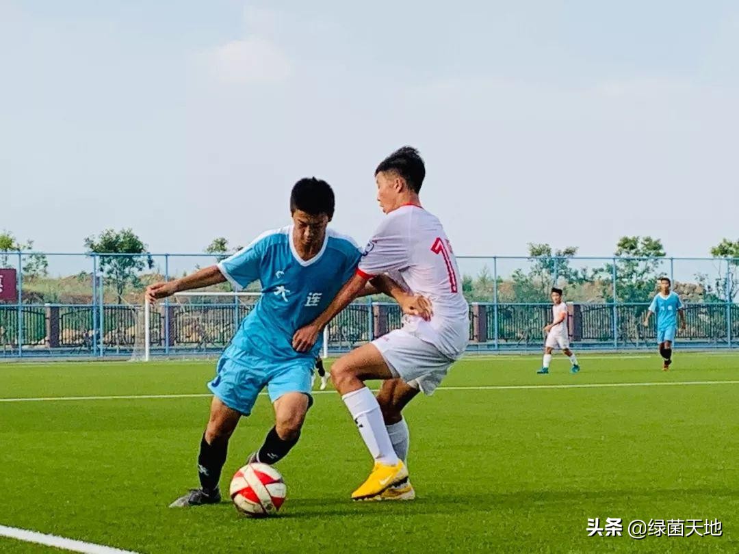 高洪波中国青训,高洪波发展前景如何