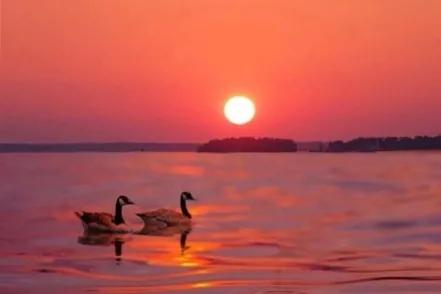 老一辈的哪些观念你无法接受,老一辈人的爱情旧观念