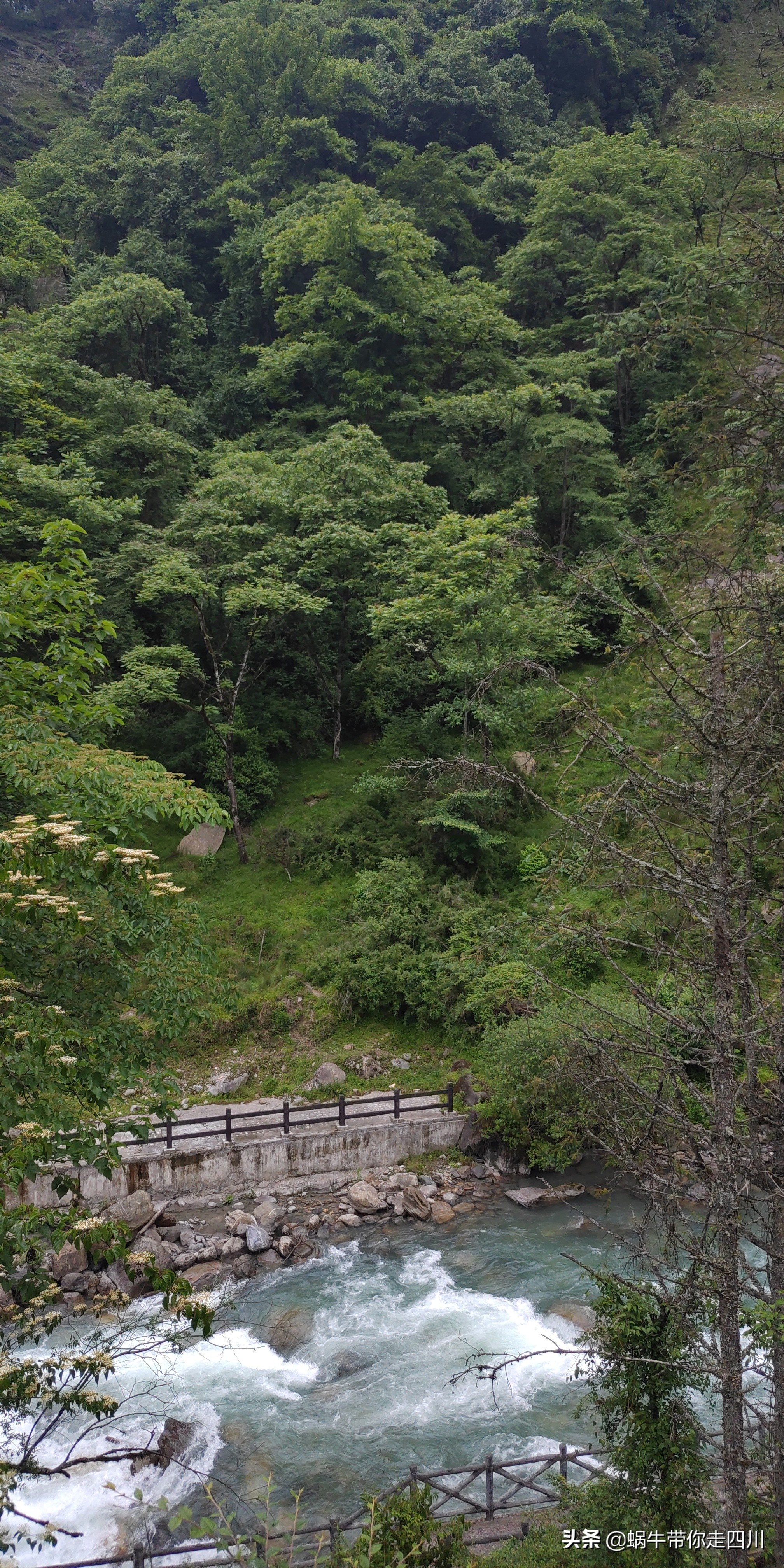 成都到西藏旅游一家三口,成都出发三天两夜旅行套票