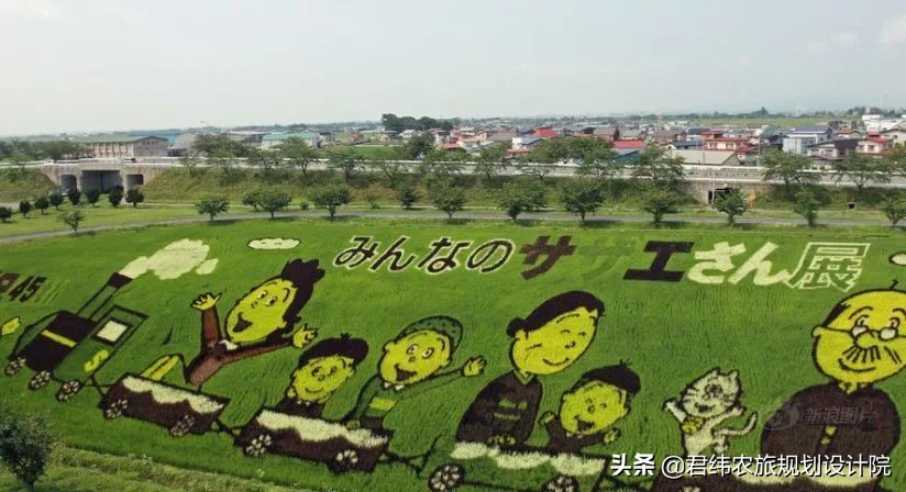 中国和日本农业到底有什么样的差距，不得不承认！