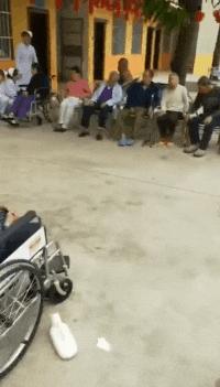 有一匹马不会动了是怎么回事,有一匹马不会动是怎么回事