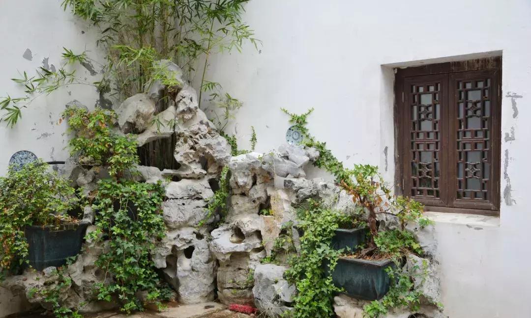 庭院盆景石头摆放图片,用什么摆放石头盆景好风水