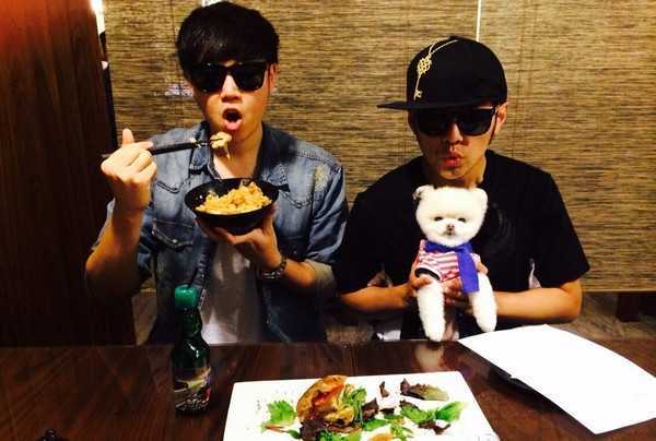 博美犬能吃什么水果蔬菜,博美犬能吃什么水果