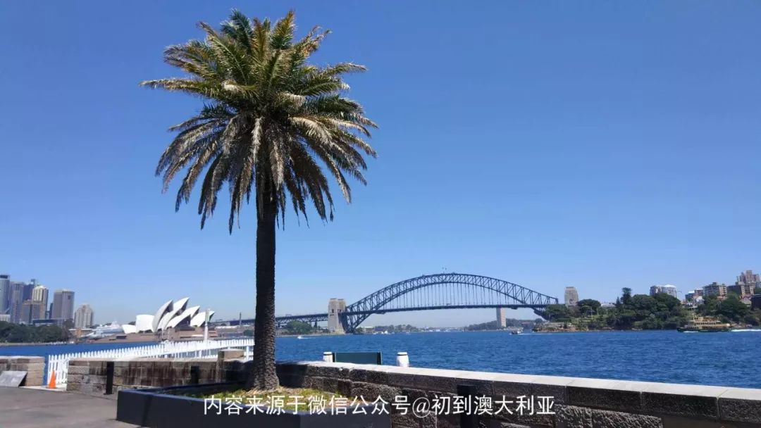 澳洲会计真的很难找工作吗,去澳洲当会计