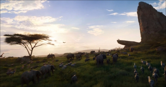 狮子王辛巴成长之路,狮子王辛巴从小变成雄狮