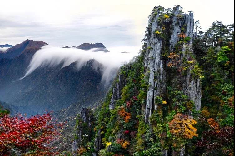11月中旬羊狮慕景区,江西羊狮慕旅游攻略
