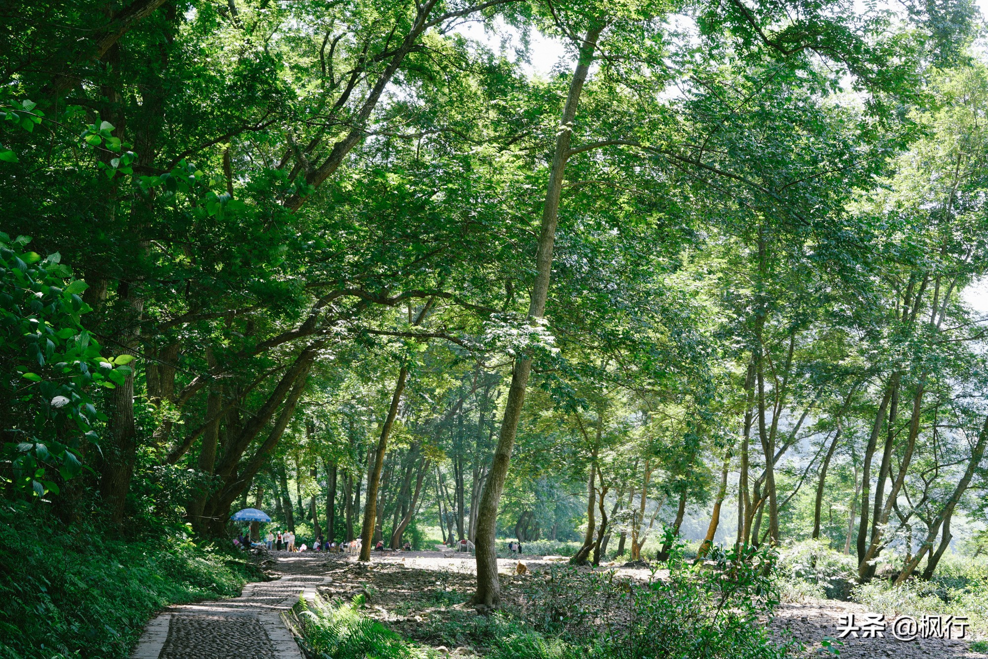 桂林阳朔旅游攻略一天半,最详细桂林阳朔旅游攻略
